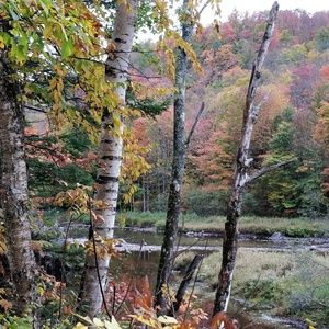 Meet your Posher, Ruth